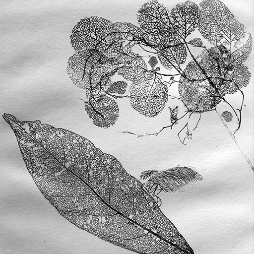 copper plate leaf etching