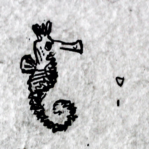 hippocampus neurons memory